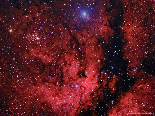 IC 1318